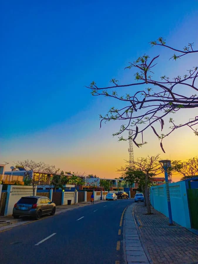 Rua arborizada de um condomínio residencial em Maputo ao fim da tarde